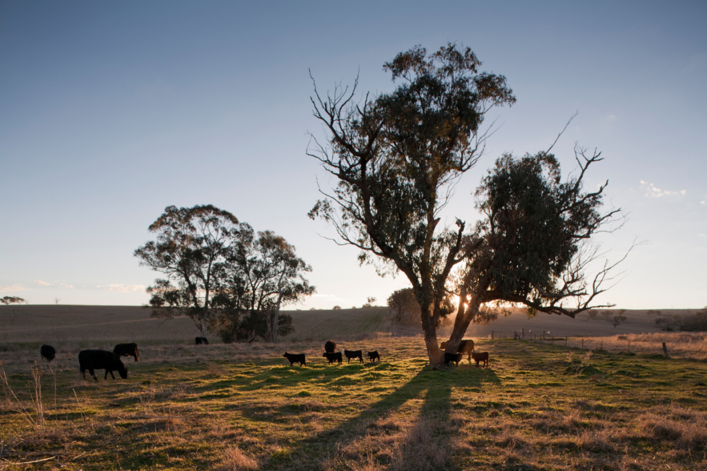 Agriculture Business Lawyer